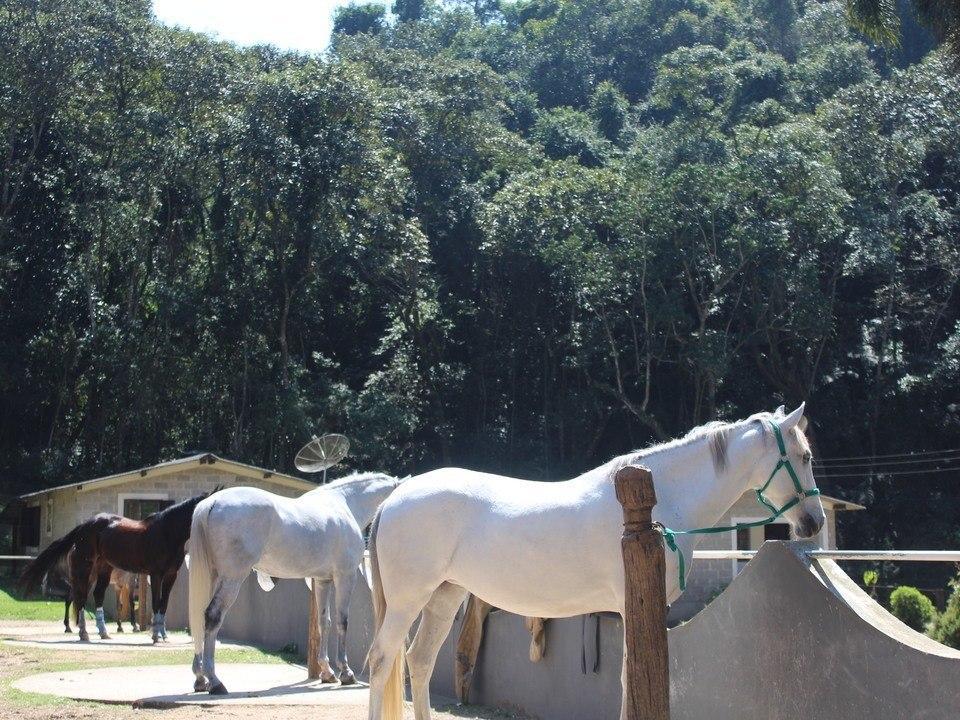 Hotel Fazenda APM Caieiras Kültér fotó